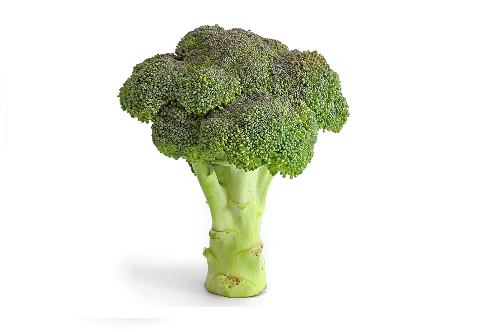 Broccoli 1kg