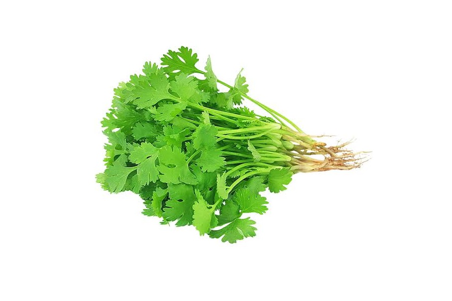 Coriander 1pc