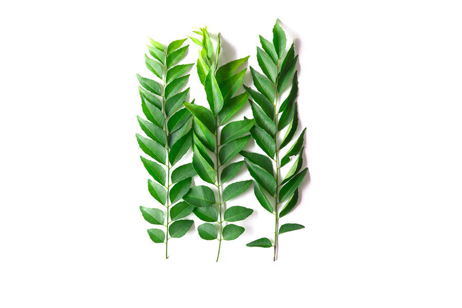 Curry Leaves 1pc